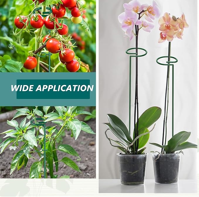 MAFONE 6 Pack 24inch Plant Support Stakes,Plant Stick for Two Sizes(12 or 24Inch) Garden Single Stem Flower Support Stake Plant Cage Support with 20pcs Clips and Plant Ties for Tomato Orchid Lily