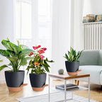 Planters for Indoor Plants, 8/7/6.5/6/5.5/5 Inch Self Watering Plant Planters with Drainage Hole, Plastic Planters Flower Pots for Indoor Outdoor Plants (Black)