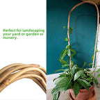 Avalution 16" Natural Bamboo Plants Trellis U-Hoop,Bamboo Gaeden Trellis U-Shape for Climbing Plant Support-20PCS