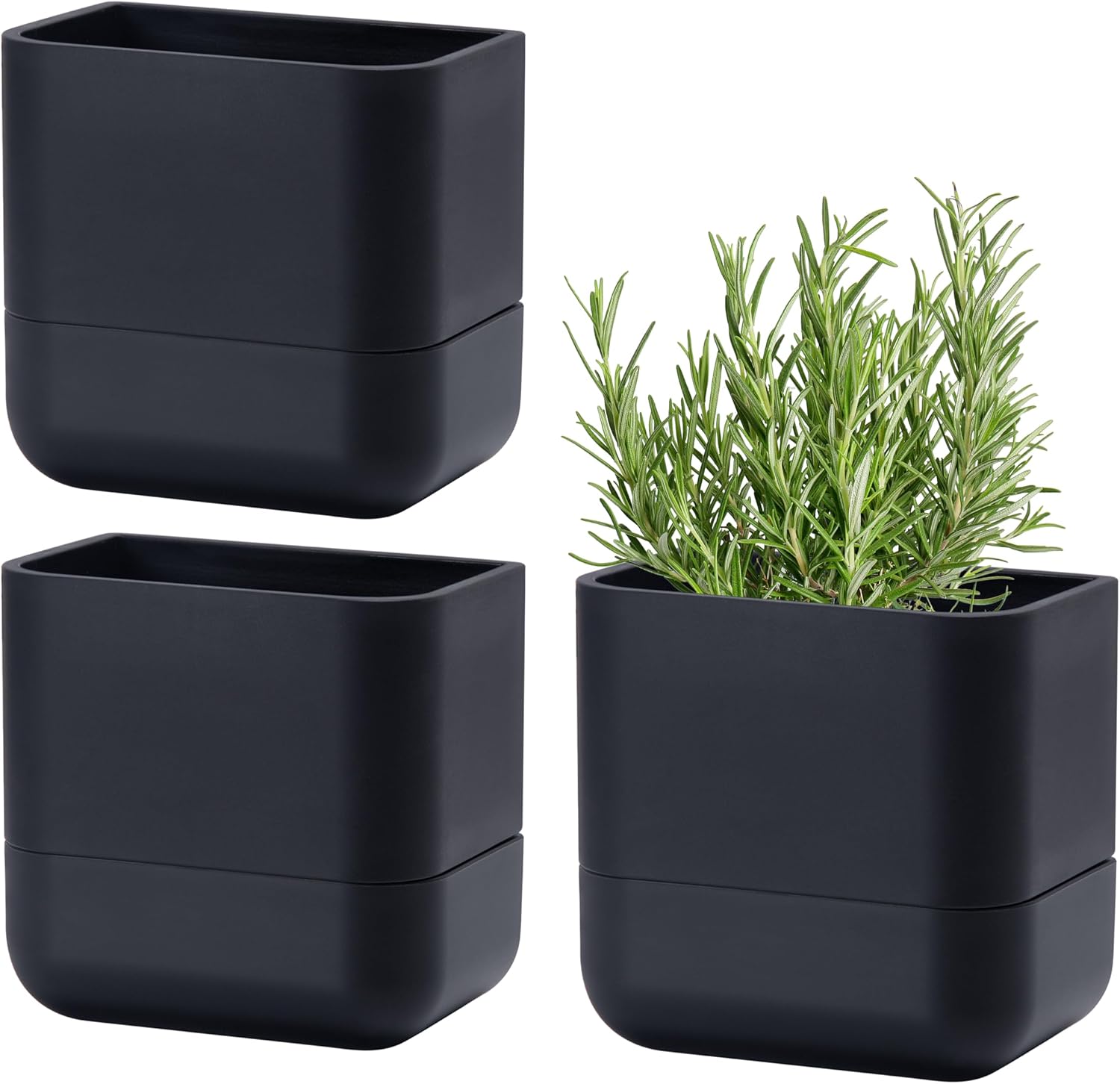 Phoenix Vine 6.5 Inch Wall Mounted Self-Watering Planter Pot for Indoor Houseplants and Herbs | Hanging Planter for Window Sills, Bathroom Walls, Home & Office Décor, Black, Set of 3, 01-C-E-3