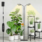 Grow Light with Stand for Indoor Plants, Dual Head Full Spectrum Floor Plant Light for Large Tall Plants, 16.5-68in Adjustable Height, 3/9/12H Timer, Dimmable, Modern Ring Grow Lamp for Home Décor