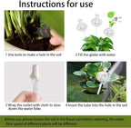 3 PCS Top-Fill Self Watering Globes, Automatic Plant Watering Devices, Transparent Self Watering Planter Insert, Durable Clear Glass Aqua Bulbs for Indoor, Cactus Shape, & Funnel