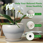 Planter Pot 6 Inch - Ceramic Plant Pot with Drainage Hole and Saucer, Round Glaze Succulent Pot for Plants, White