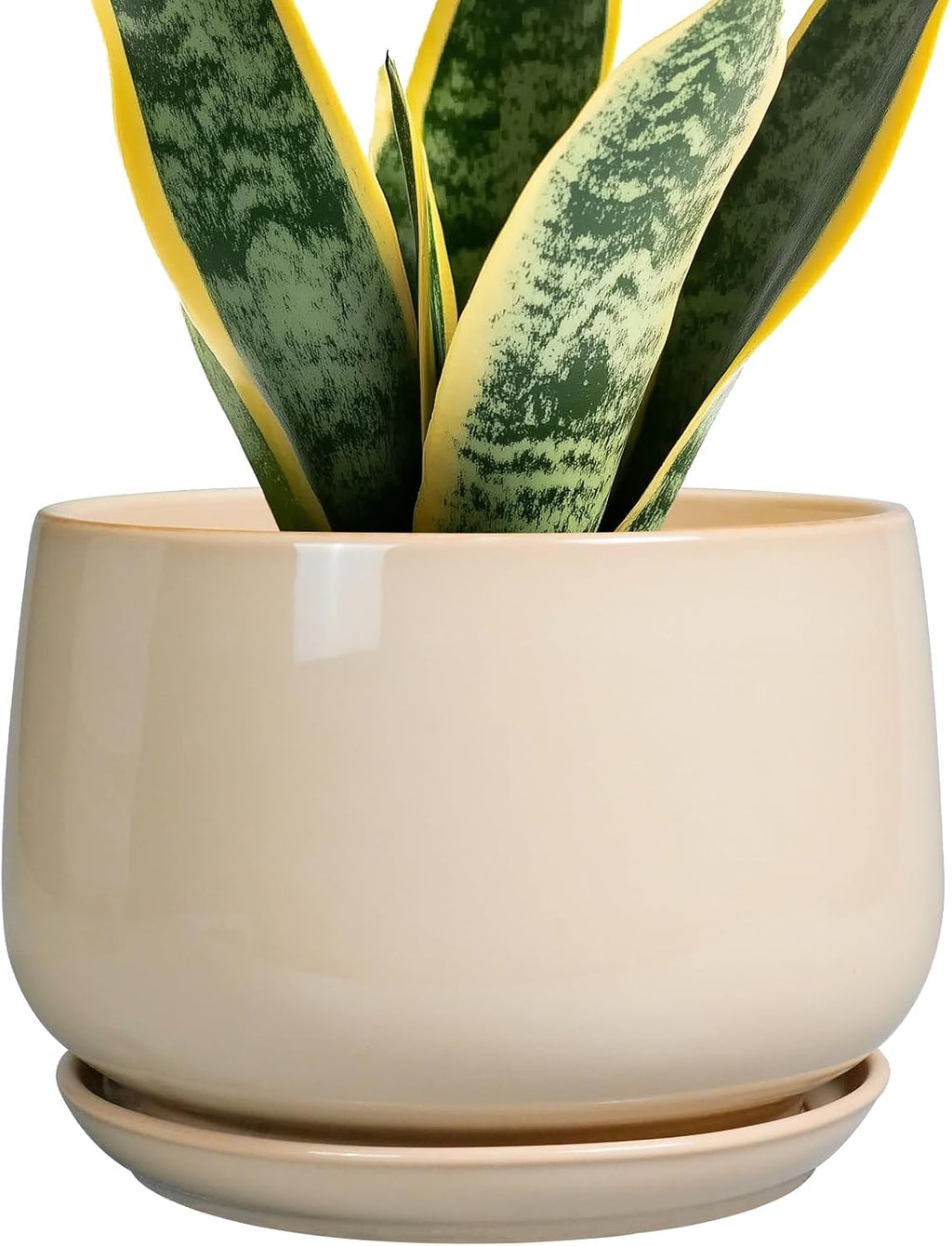 g epgardening ceramic planter, 7 inch plant pots, main product view