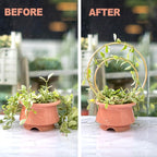 Hoya Trellis for Indoor Plants - Set of 3 Stylish Metal Plant Supports for Climbing Houseplants - Durable Design for Small Potted Plants with Increased Height Support