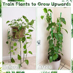 Plant Stakes,18Inch & 11Inch Plant Support Stakes,HAINANSTRY Adjustable Length Garden Stakes,Plant Stakes for Indoor and Outdoor Plants,Tomatoes/Beans/Orchid/Vegetable Stakes for Garden