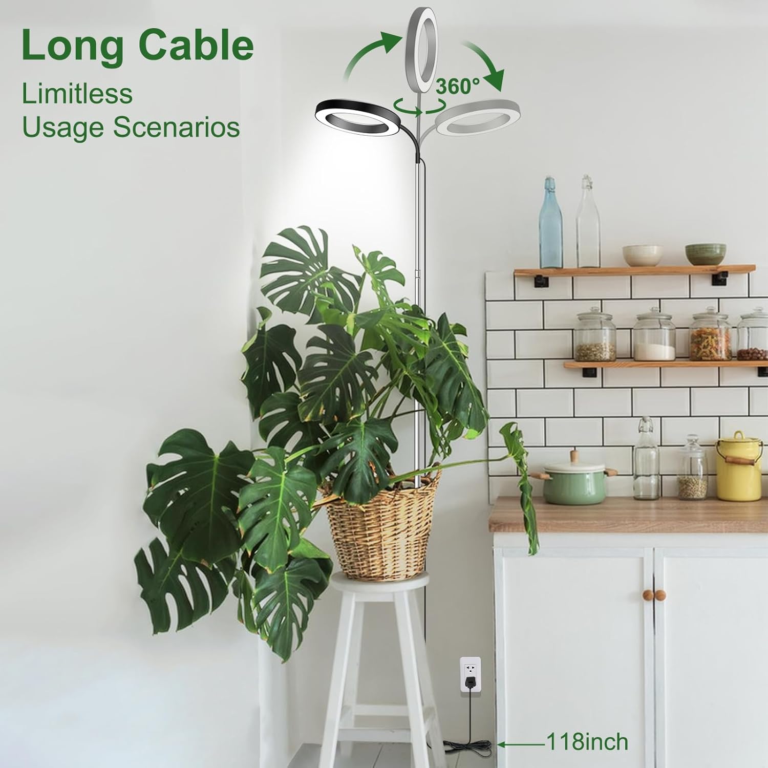 Grow Lights for Indoor Plants Full Spectrum, 80 LEDs 3 Colors Grow Light, 65in Large Plant Lights for Indoor Growing with 360°Gooseneck, 6/12/16H Timer, 5 Brightness, Height Adjustable, Black | 65in Plant Lights for Indoor Growing with 360°Gooseneck