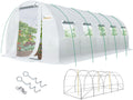 king bird premium 25x10x6.6ft greenhouse for outdoors, large, main product view