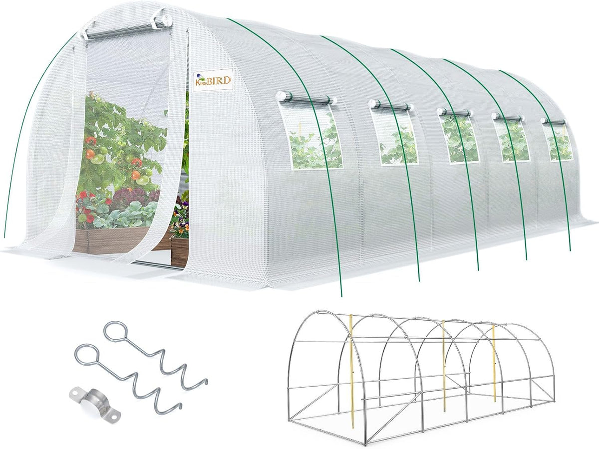 king bird premium 25x10x6.6ft greenhouse for outdoors, large, main product view
