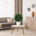 22''t artificial cedar topiary ball tree 2 pack showing dimensions