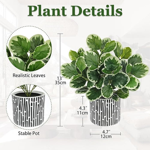 13" Artificial Plants Indoor Small Fake Plant in Ceramic Pot, Silk Plants for Home Decor Indoor, Faux Potted Plant for Shelves, Desks, Home, Room, Office, Bedroom, Farmhouse, Entryway, Tabletop Decor