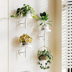 YUOROS 3 Pack Wall Planters for Indoor Plants Hanging Shelf Wall Mounted Plant Hanging Holder (White)
