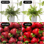 2 Pack LED Grow Light Bulbs，Full Spectrum Plant Light Bulb, 9W Replace 100W | 120V E26 Grow Bulb,Grow Light for Indoor Plants, Flowers, Greenhouse, Indore Garden, Hydroponic