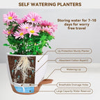 7/6.5/6/5.5/5 Inch Self Watering Pots, Plastic Flower Pots with Multi Mesh Drainage Holes and Deep Reservoir for Indoor Outdoor Garden Plants and Flowers (Black, 5/5.5/6/6.5/7/8)