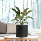 8 Inch Medium Plant Pots for Indoor Outdoor Plants, Cylinder Deep Flower Pots with Drainage Holes & Saucer, Decorative Plastic Planter Pots for Garden House Plants, Black