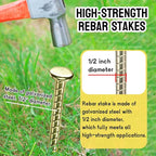 16 Inch Rebar Stakes - 1/2 Inch Diameter Galvanized Steel Ground Anchors - Heavy Duty Plant Support Garden Stake for Speed Bump, Wheel Stop, Tent (10 Pack)