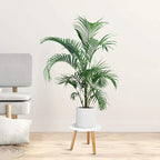 Uneedem Indoor Plant Stand, Wood Mid Century Modern Small Round Side Plant Table for Indoor Plants, 8.9" Tall Plant Holder for Flower Pots End Table