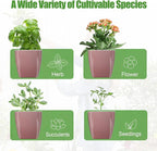 4 Pack Self Watering Pots 4-inch Decorative Flower Planters for Indoor Plants Modern Square planters for Small Plants Window Sill Planters for Succulents, African Violets, Herbs(Rose Gold)