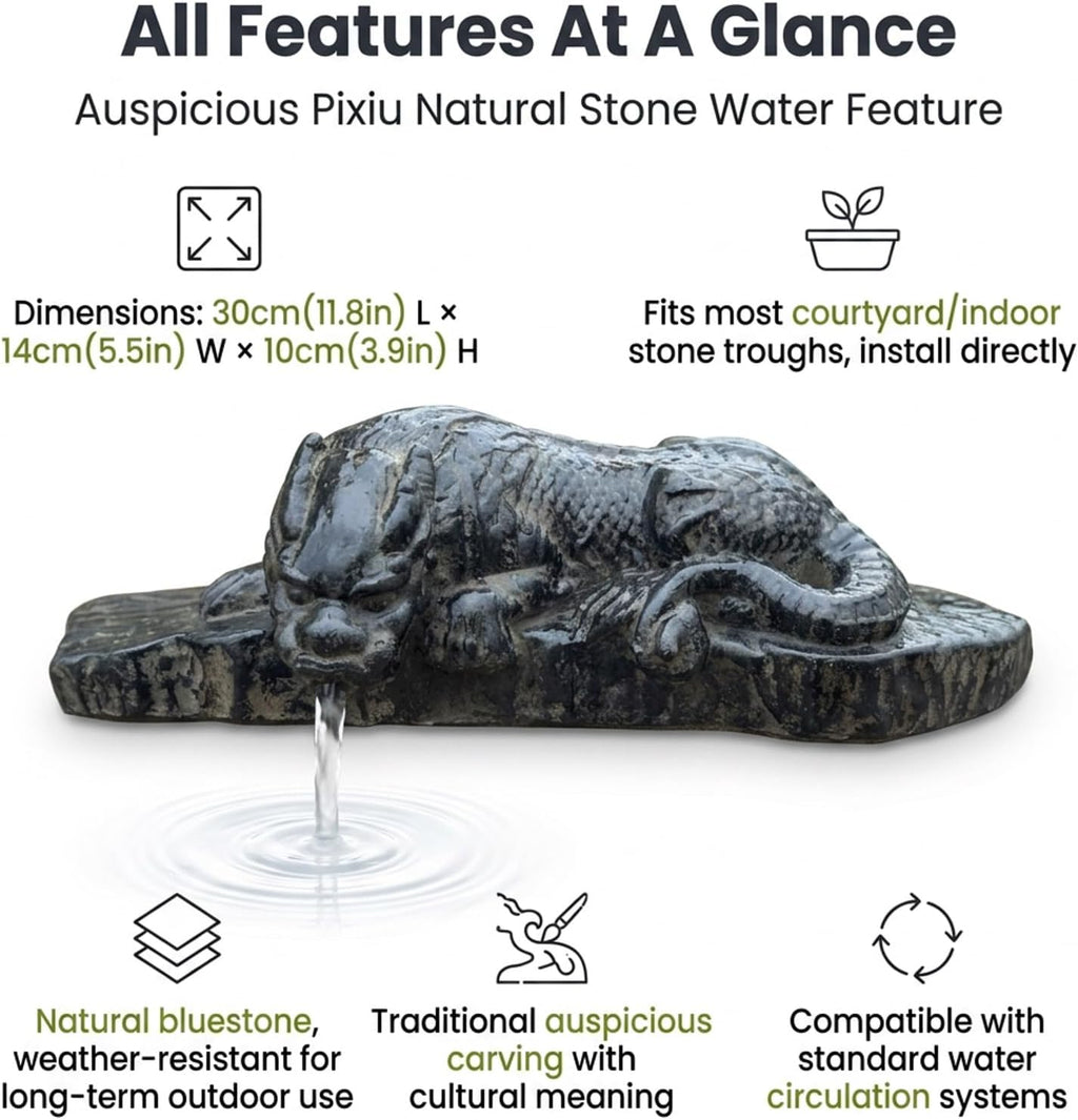 Small Dragon Statue Pond Spitter Outdoor Water Feature with Water Pump Decorative Animal Fountain for Garden,Yard, Lawn and Landscaping Decor