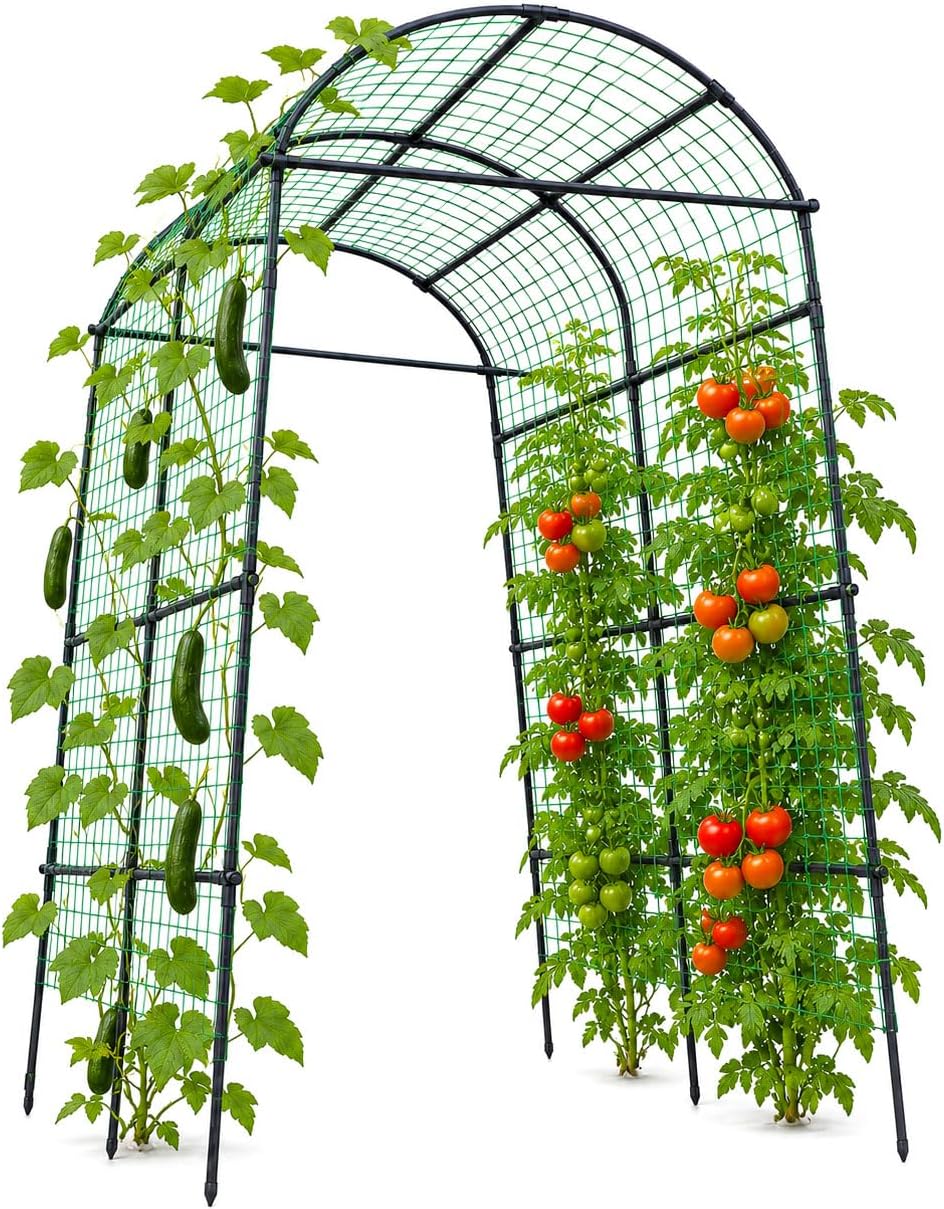 follook garden arch trellis for climbing plants outdoor, main product view