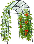 follook garden arch trellis for climbing plants outdoor, main product view