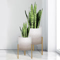 ARNIS Plants Pots with Stand, Set of 2 Indoor Planter Pots, Unique Mid Century Decorative Metal Flower Pots with Drainage,8.25 & 10.5 Inch, Grey and White