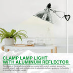 Simple Deluxe Clamp Light with 8.5 Inch Adjustable Aluminum Reflector, Suit for E26 Socket Max 150 Watt Lamp (No Bulb Included), 6 Feet 18/2 SPT-2 Cord, 2 Pack