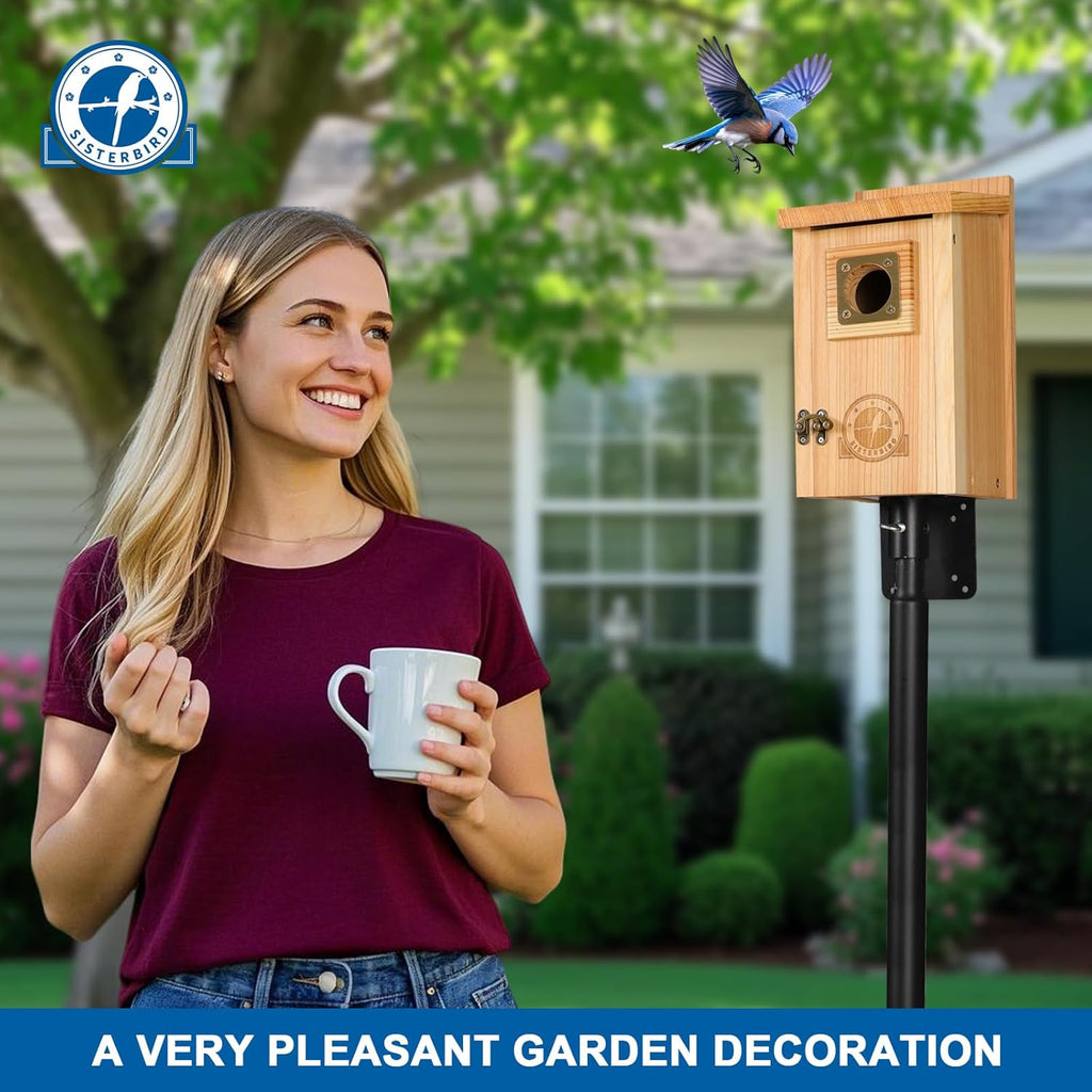 SISTERBIRD Bird Houses for Outside Clearance with Copper Guard, Cedar Bird House Outdoor, Bluebird Finch Swallow Wren Chickadee