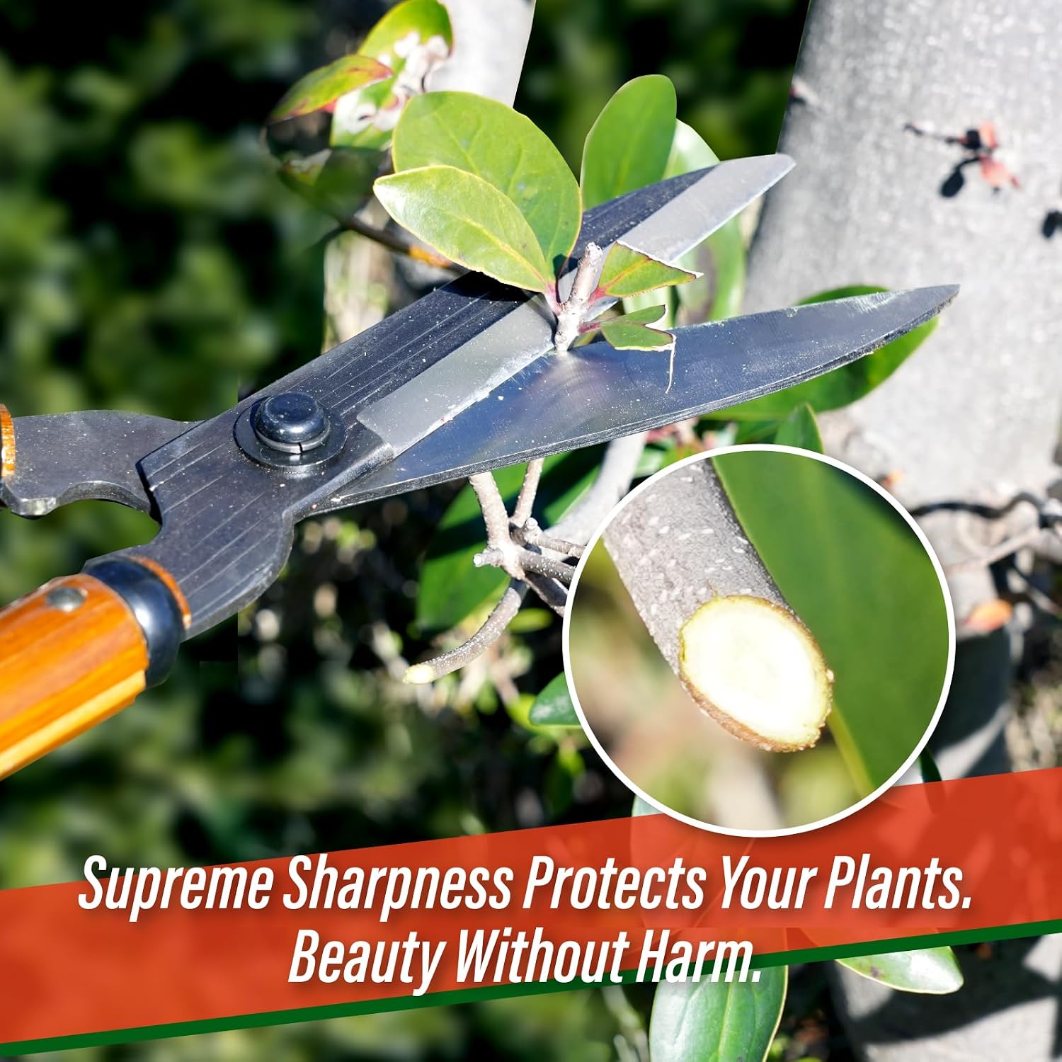 SUIZAN Hedge Shears 21.3" - Japanese Garden Clippers for Precise Trimming | Professional Shear for Pruning Hedges Bushes Shrubs Topiary Boxwood Branches Landscaping Sharp Steel Blades Gardening Tools