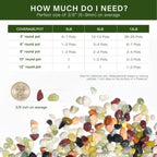 NUPICK 3 lbs Pebbles for Indoor Plants, 3/8 Inch Pea Gravel for Fish Tank | Polished Decorative Rocks for Succulent, Natural River Stones for Vases, Cactus, Landscaping, Bird Bath, Aquarium, Colorful