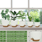 Self Watering Planters with Drainage Holes Reservoir,Nursery Planting Pot for Indoor Decor Garden Plants Succulents,Snake Plant, African Violet,Plastic Flower Pots Set 7+6.5+6+5.5+5 Inch (White)