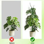 15 Pack Stackable Plant Support Stakes, Garden Trellis for Climbing Plants Indoor and Outdoor Use, Plant Accessories for Potted Plants Monstera, Plant Sticks for Climbing Plant Stems