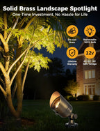 COLOER 5W 12V Brass Outdoor Landscape Spot Light with Bulb(4Pack) | Solid Brass Construction,12V Low Voltage,5W 2700K Warm White,IP65 waterproof,Replaceable MR16 Bulb,Small Size,Adjustable head