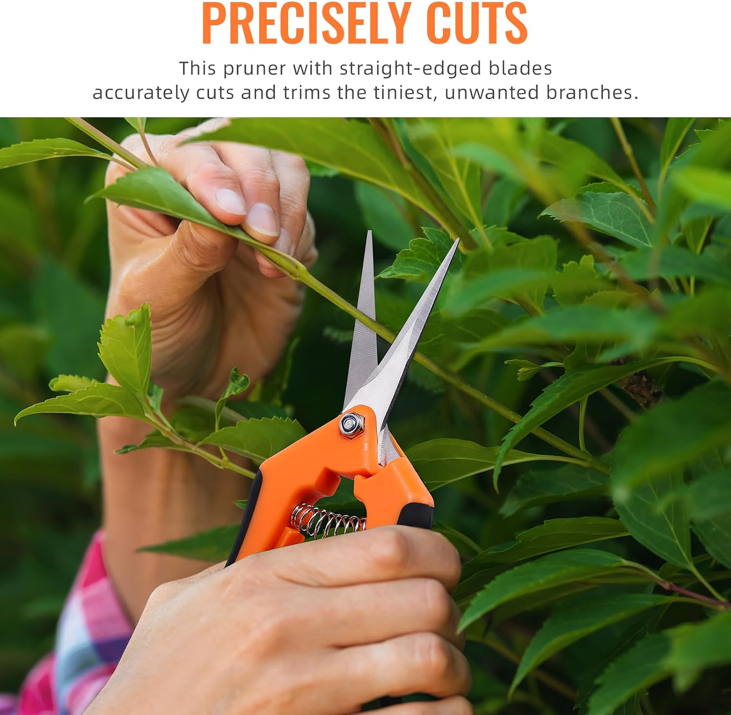 4 Pack Pruning Shears 6.5 Inch Stainless Steel Garden Scissors | with Sharp Precision Blades, Comfortable Ergonomic Hand Snips for Deadheading, Flowers, Trimming Herbs, Shaping Small Plants