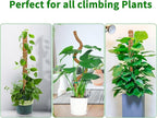 4 Pack 39 Inch Moss Pole Monstera Plant Support, Coir Moss Poles for Climbing Indoor Plants, Bendable Plant Stake Trellis for Potted Plant, Pothos, Philodendron