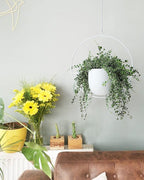 Hanging Planter Indoor Modern Boho Plant Pot Metal Wall and Ceiling Plant Holder, Mid Century Minimalist Flower Pot for Hanging Plants(White)