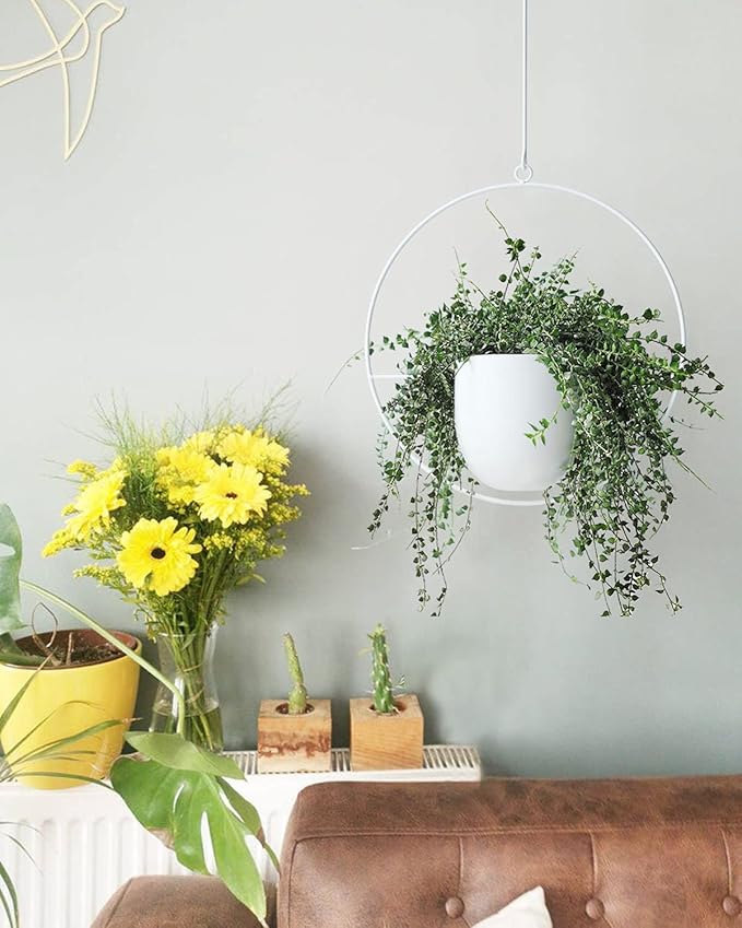 Hanging Planter Indoor Modern Boho Plant Pot Metal Wall and Ceiling Plant Holder, Mid Century Minimalist Flower Pot for Hanging Plants(White)