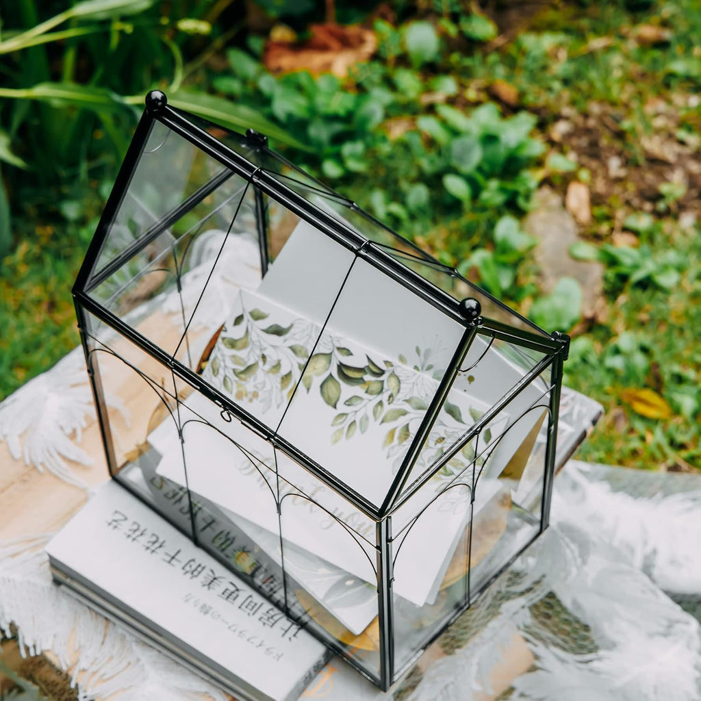 ncyp glass terrarium with lid for cacti, moss, close-up detail