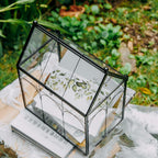 ncyp glass terrarium with lid for cacti, moss, close-up detail
