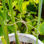 Durable Monstera Plant Support Hooks 5.5in - 5-Piece Set for Indoor Plant Stabilization, Easy-to-Use Grapple Holders for Monstera and Turtle Shell Plants for Plant Lovers