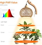 Hanging Grow Lights for Indoor Plants,3800K | 18W Wall-Mounted Decorative Grow Light with Boho Rattan Lantern Shade, 9.8FT Power Cord, for Indoor Plant Growing, Flowers