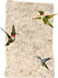 Hummingbird Nesting Material Refill, Soft Cotton Fibers for Wild Bird Nest Building, Goldfinches Titmice, Fits Deluxe Hummingbird Nester, Natural Bird Nesting Cotton