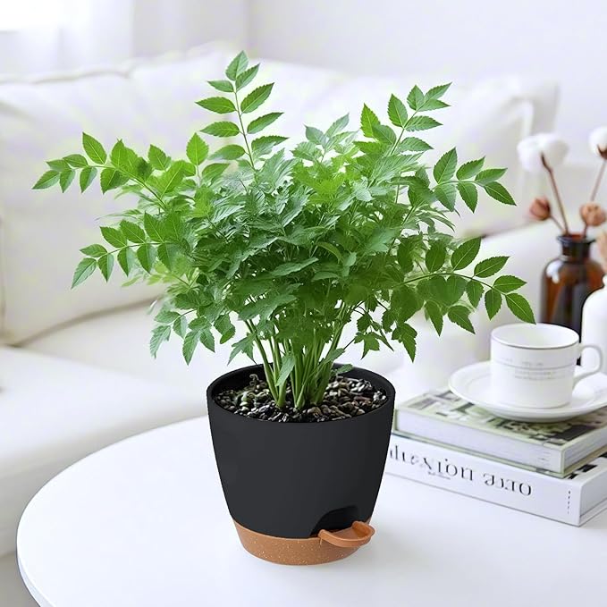 6-Pack Plant Pots with Drainage 6 Inch, Self Watering Pots for Indoor Plants, Planters for Indoor Outdoor Plants, Plastic Flower Pot, Planter for Indoor Outdoor (Black)