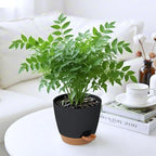4-Pack Plant Pots with Drainage 6.5/6/5.5/5 Inch, Self Watering Pots for Indoor Plants, Planters for Indoor Outdoor Plants, Plastic Flower Pot, Planter for Indoor Outdoor (Black)