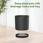 8/7/6 inch Plant Pots, 3 Set Cylinder Flower Pots for Outdoor Indoor Plants, Decorative Plastic Planters with Drainage Holes and Saucers for Garden House Plants, Black