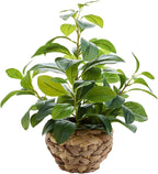 15" fake broad leaf plant seagrass basket tabletop, main product view