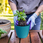 7 inch Flower Pots, 5 Pack Plant Pots with Drainage Holes and Saucers for Indoor Plants, Plastic Planters with Water Ripple for Small Garden House Plants, Nursery Pots for Succulent, Blue Green