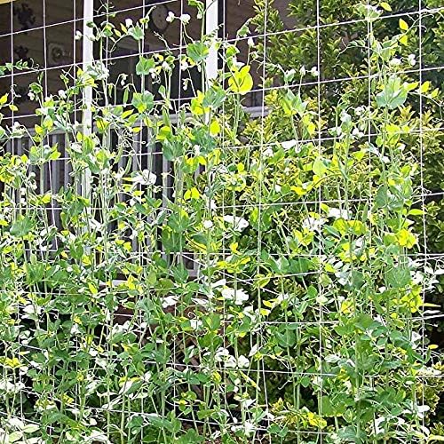 toolazy trellis netting 5 x 350 ft on a desk or shelf