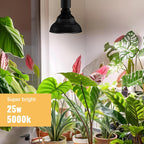 Hanging Grow Lights for Indoor Plants, 25W 5000K, LED Light Bulbs | LED Grow Light, Height Adjustable Pendant, Full Spectrum Plant Lamp with Timer for Tall Indoor Plants, Black