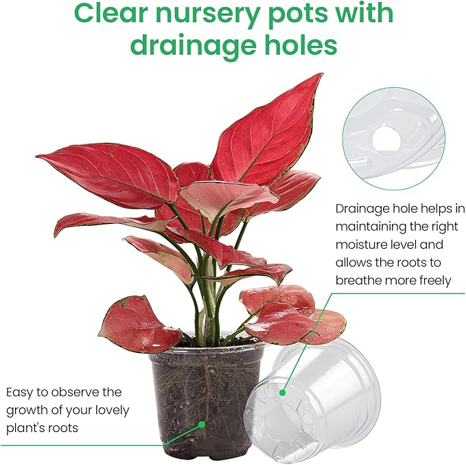 36 Packs 5/4/3.5 Inch Reinforced Clear Nursery Pots with Drainage Hole, Transparent Variety Pack Plastic Plant Pot Seedling Planter for Vegetable Propagation, Root Cutting, Seed Starting